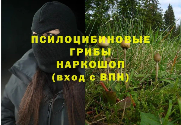 первитин Верея