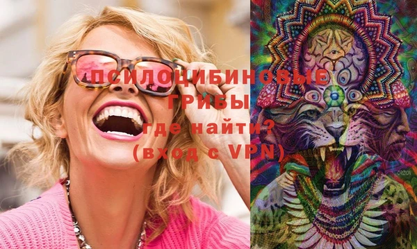 ешки Вязьма