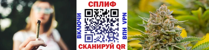 Канабис конопля Закаменск