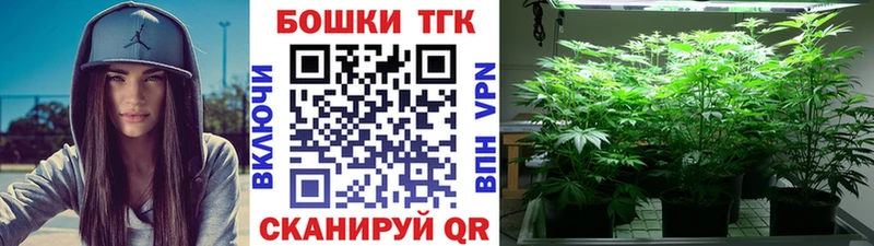 Каннабис планчик  Закаменск 